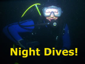 Night Dives